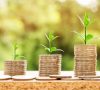 stacks of coins with seeds growing out of the tops